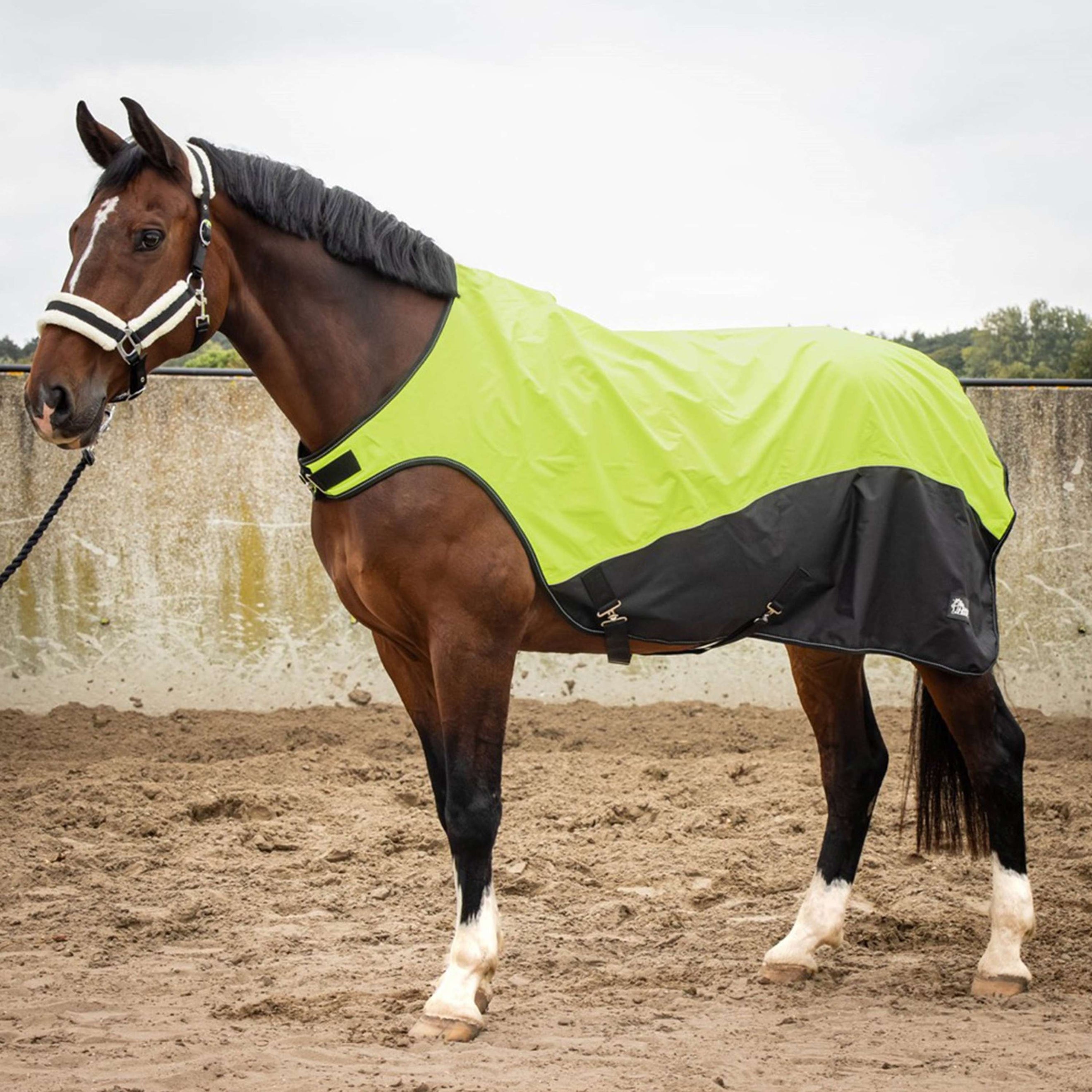 Harry's Horse Stapmolendeken Reflective Waterproof Neon Geel