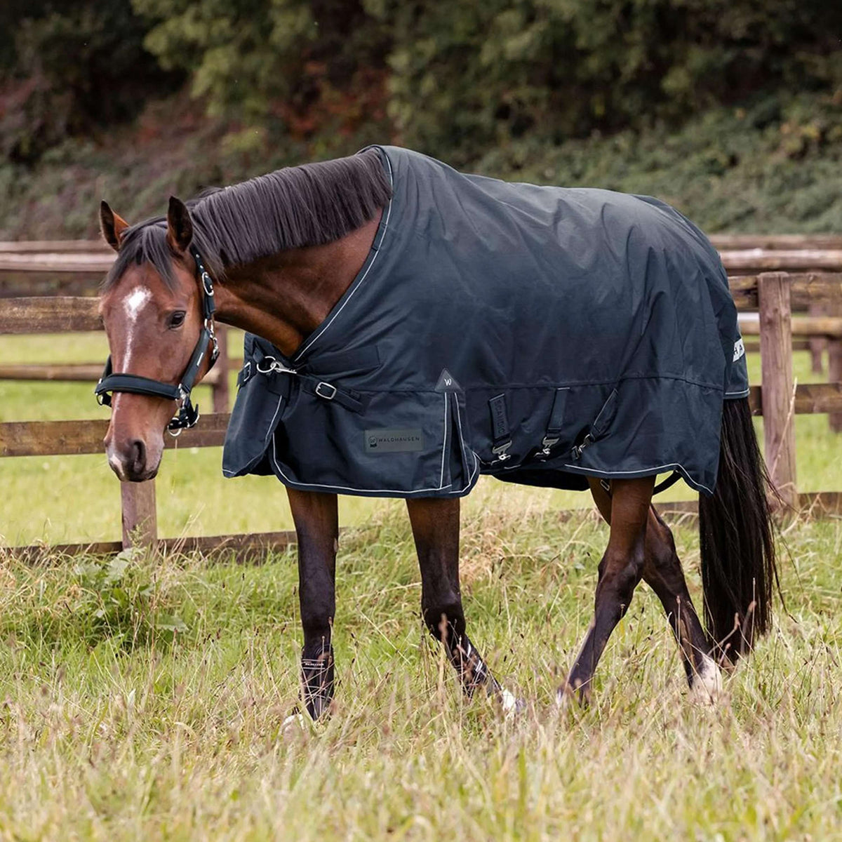 Waldhausen Outdoordeken Scandic Multi-Layer 100/250g Nightblue