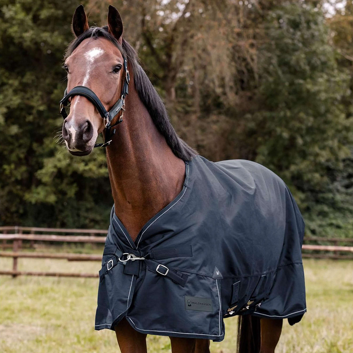 Waldhausen Outdoordeken Scandic Multi-Layer 100/250g Nightblue