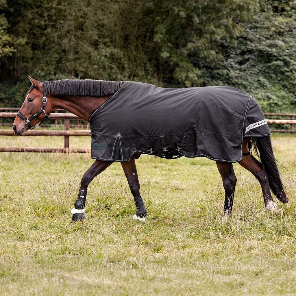 Waldhausen Outdoordeken Scandic Multi-Layer 100/250g Zwart