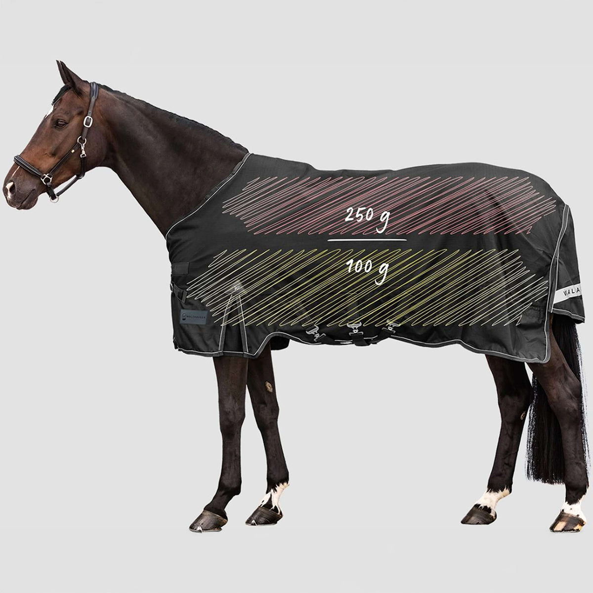 Waldhausen Outdoordeken Scandic Multi-Layer 100/250g Zwart