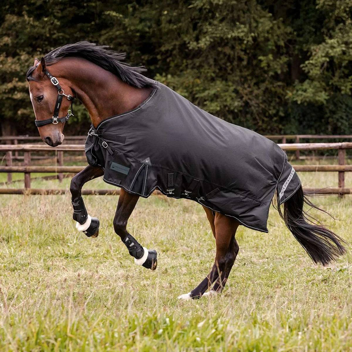 Waldhausen Outdoordeken Scandic Multi-Layer 50/150g Zwart