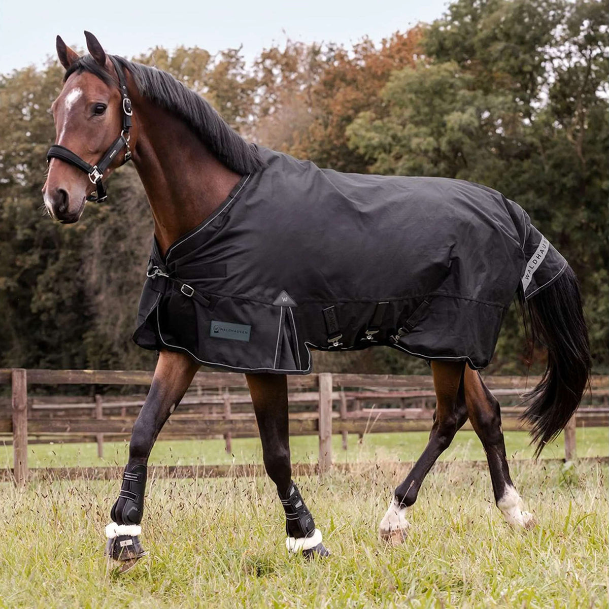 Waldhausen Outdoordeken Scandic Multi-Layer 50/150g Zwart