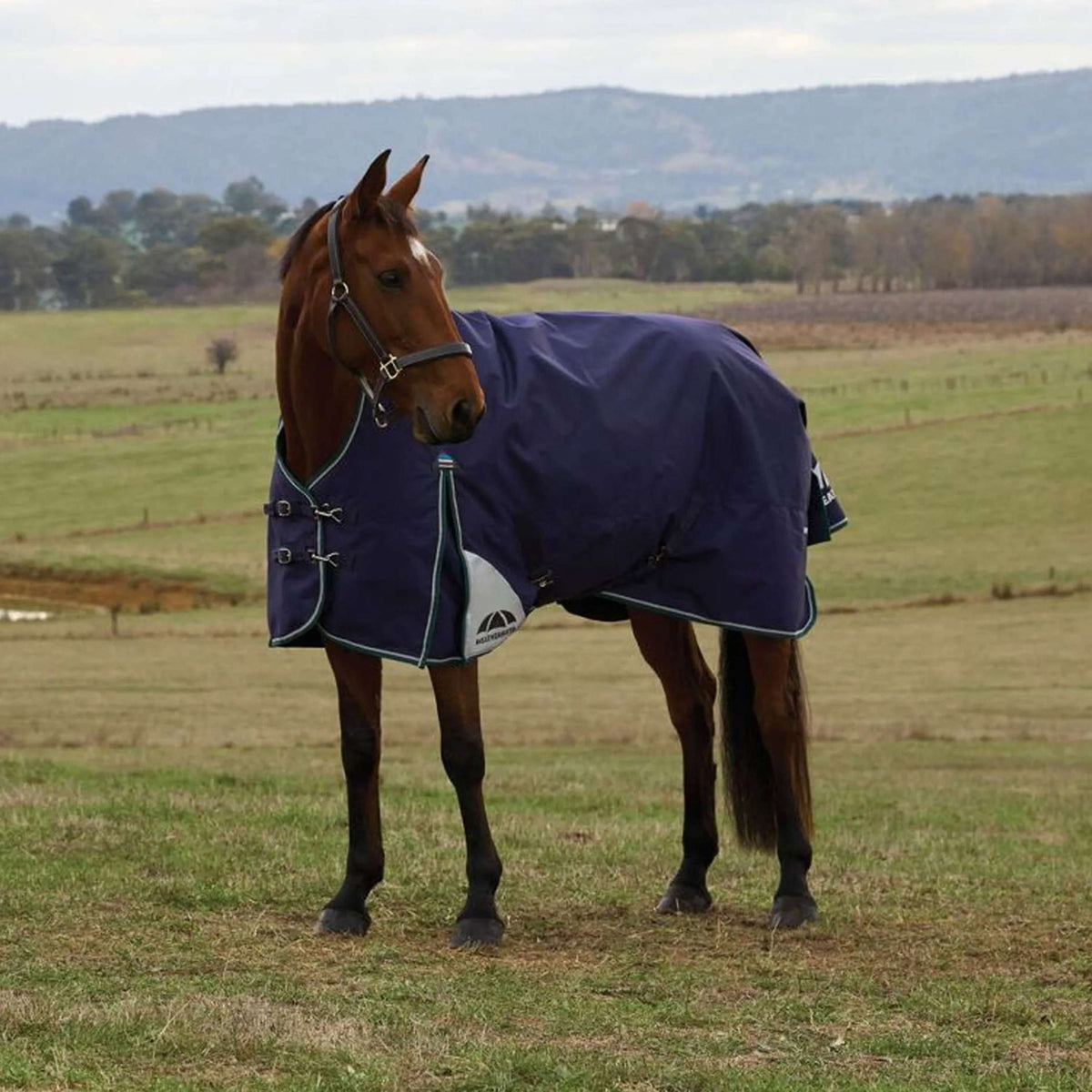 WeatherBeeta ComFiTec Plus Dynamic Turnout High Neck 100g Navy/Forest Green