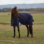 WeatherBeeta ComFiTec Plus Dynamic Turnout High Neck 100g Navy/Forest Green