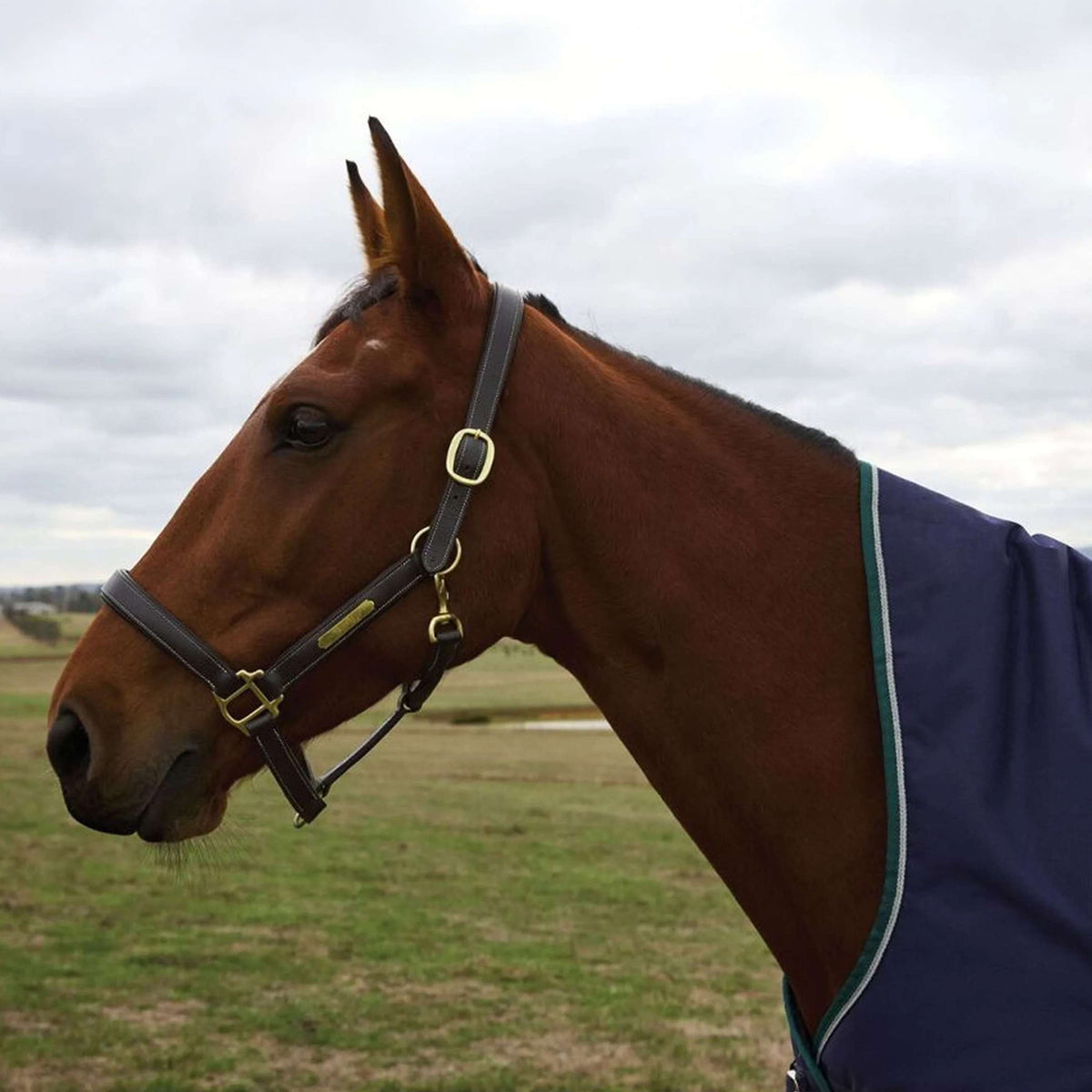 WeatherBeeta ComFiTec Plus Dynamic Turnout High Neck 100g Navy/Forest Green