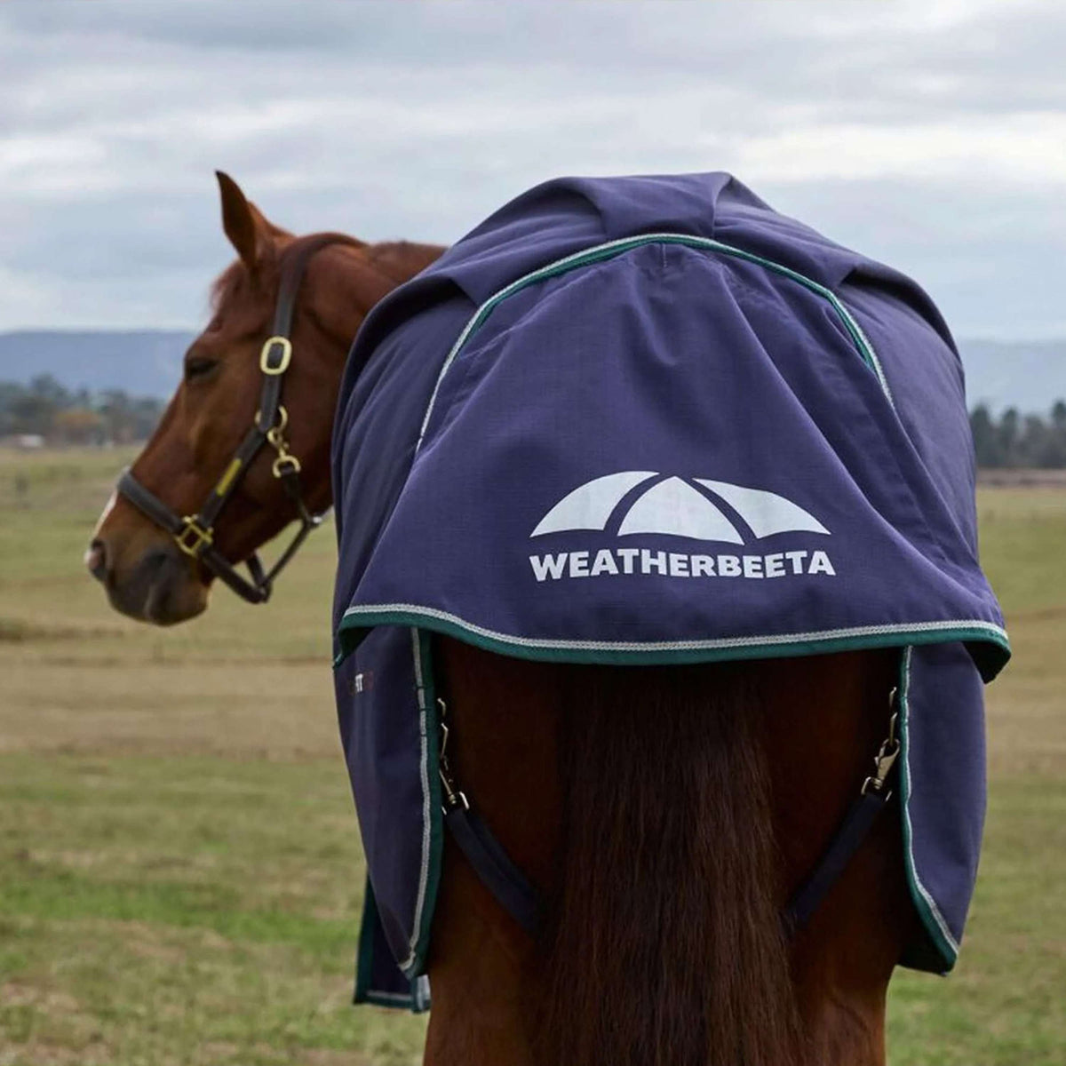WeatherBeeta ComFiTec Plus Dynamic Turnout 100g Navy/Forest Green