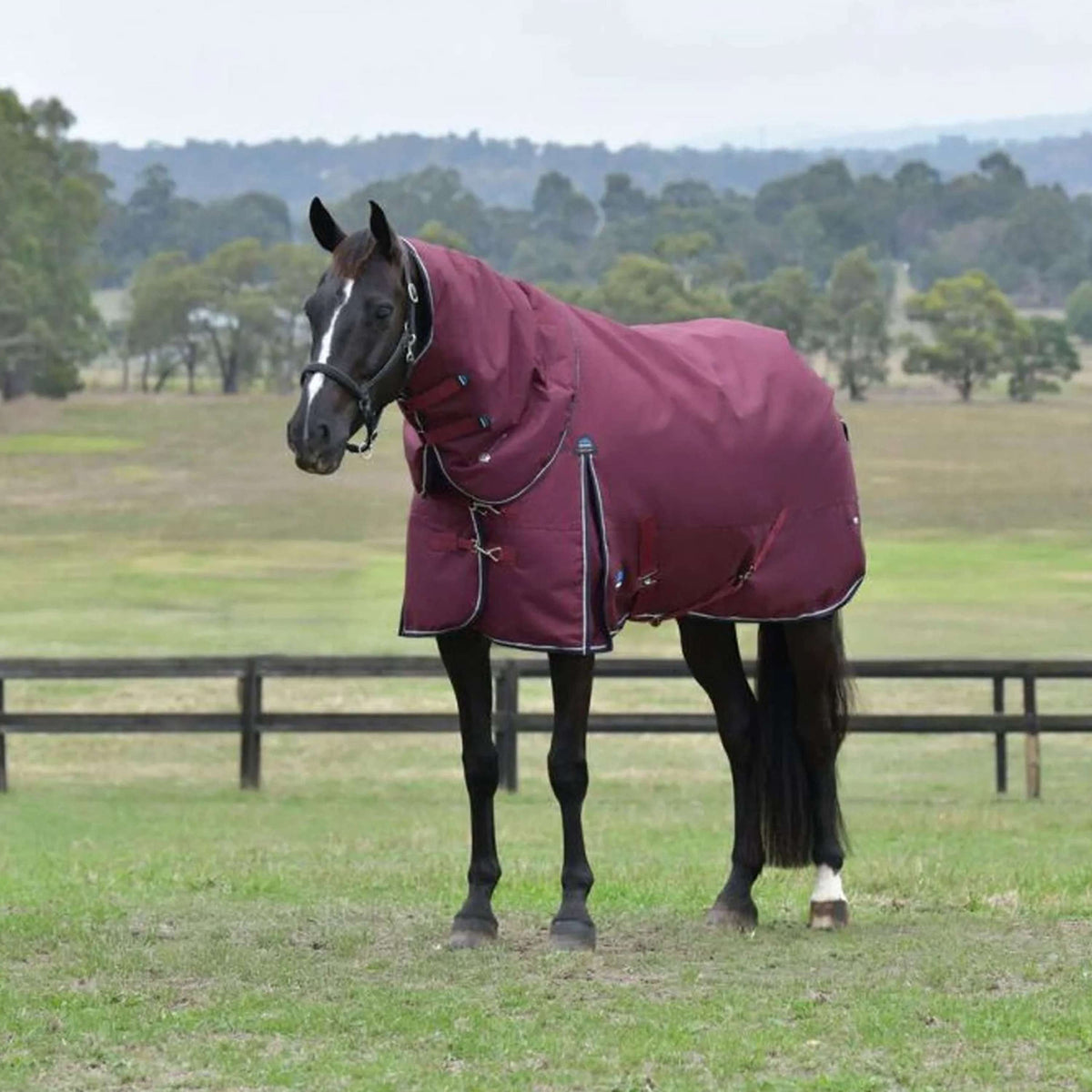 WeatherBeeta ComFiTec Essential Turnout Detach-A-Neck 50g Burgundy/Navy