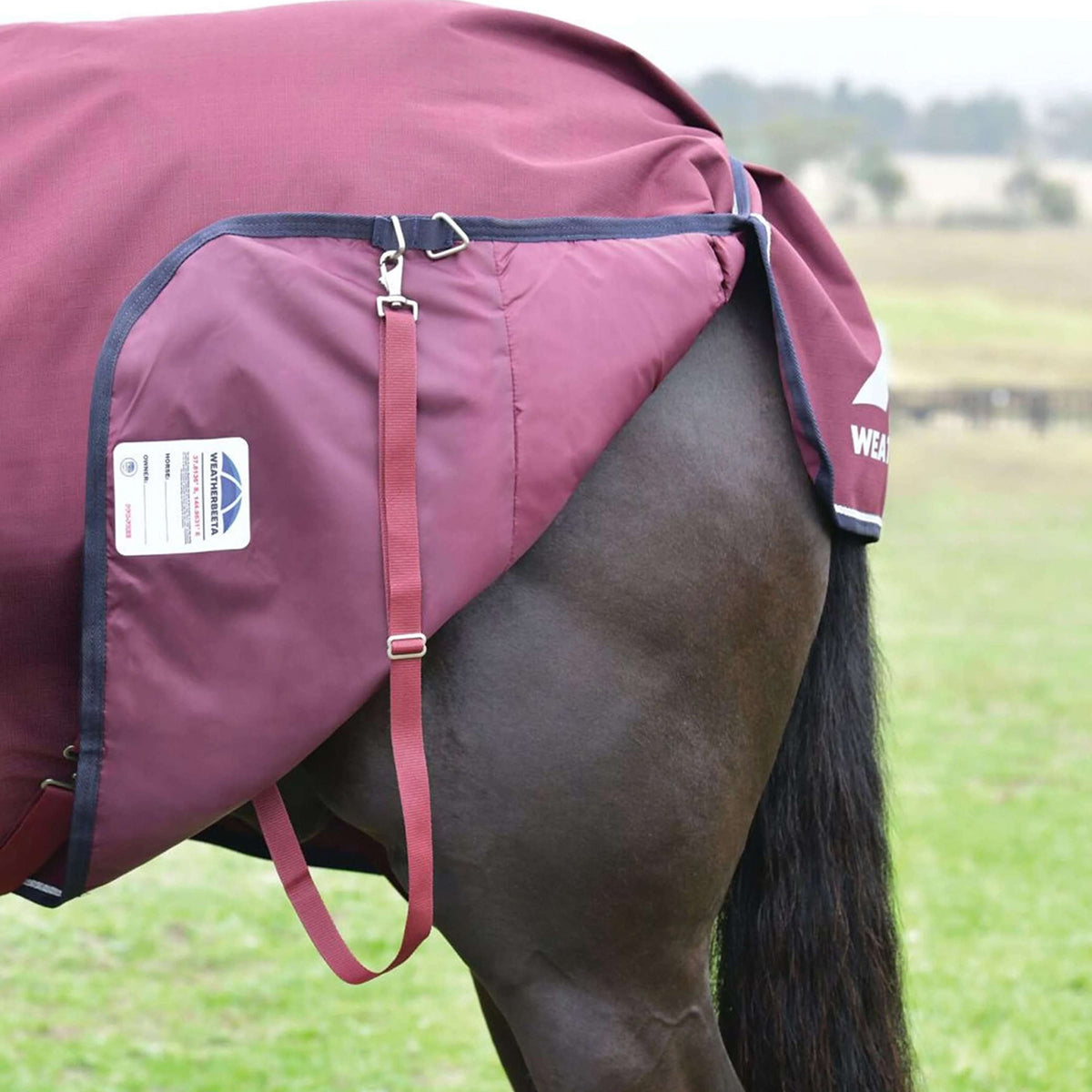 WeatherBeeta ComFiTec Essential Turnout Detach-A-Neck 50g Burgundy/Navy