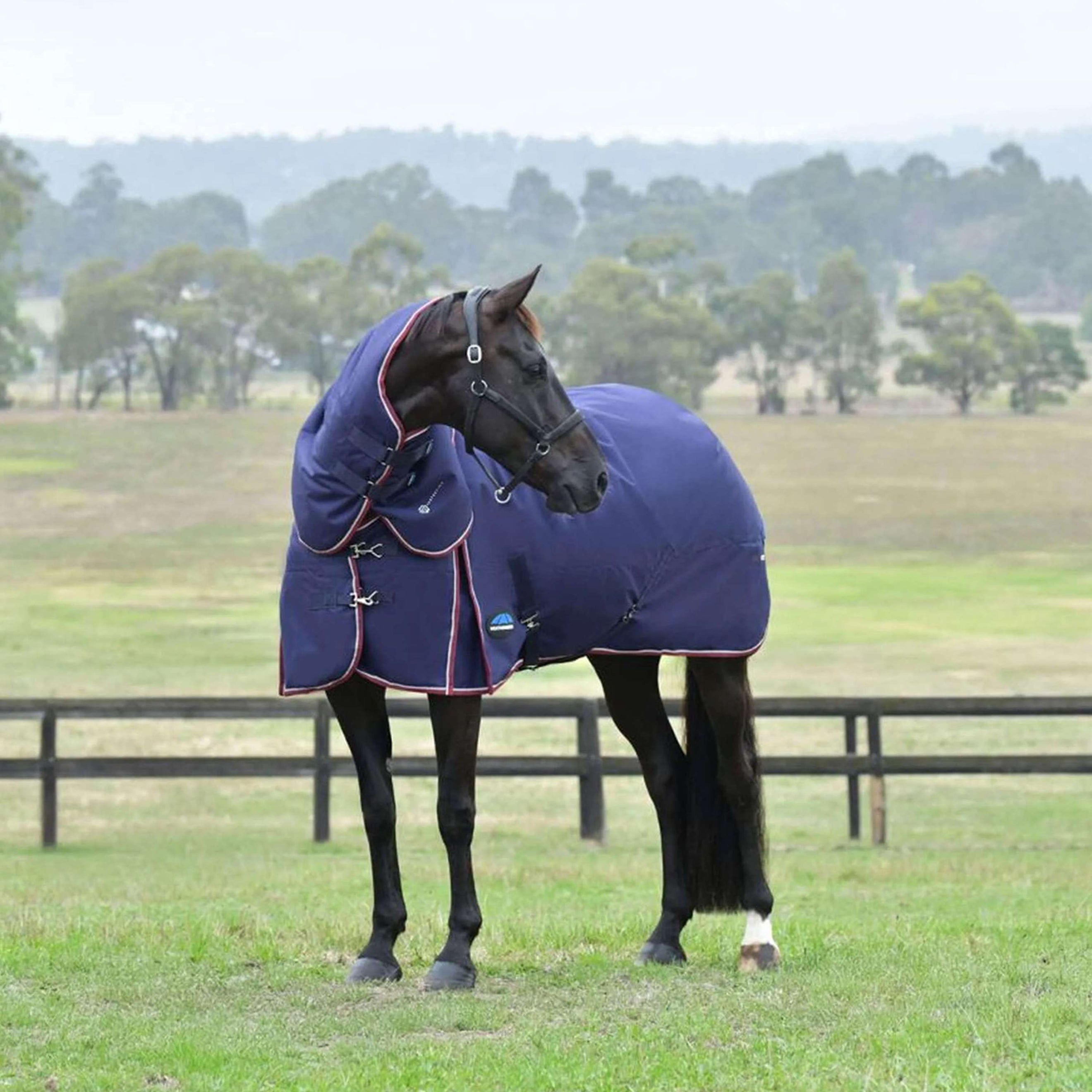 WeatherBeeta ComFiTec Essential Turnout Detach-A-Neck 50g Navy/Burgundy WeatherBeeta ComFiTec Essential Turnout Detach-A-Neck 50g Navy/Burgundy