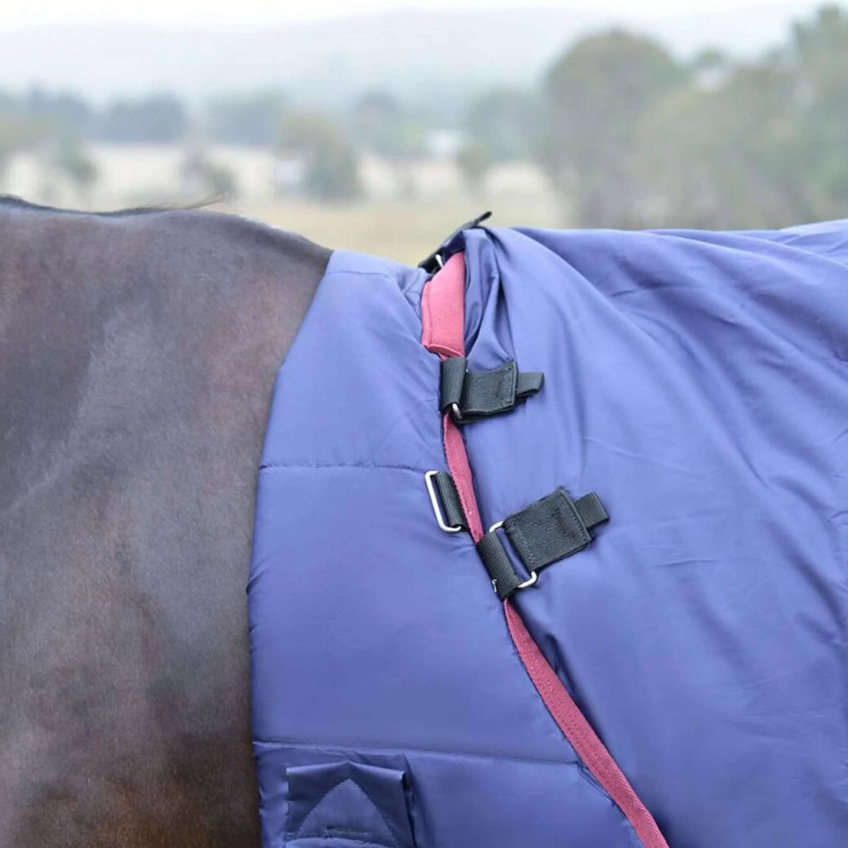 WeatherBeeta ComFiTec Essential Turnout Detach-A-Neck 50g Navy/Burgundy