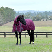 WeatherBeeta ComFiTec Essential Turnout Combo 50g Burgundy/Navy