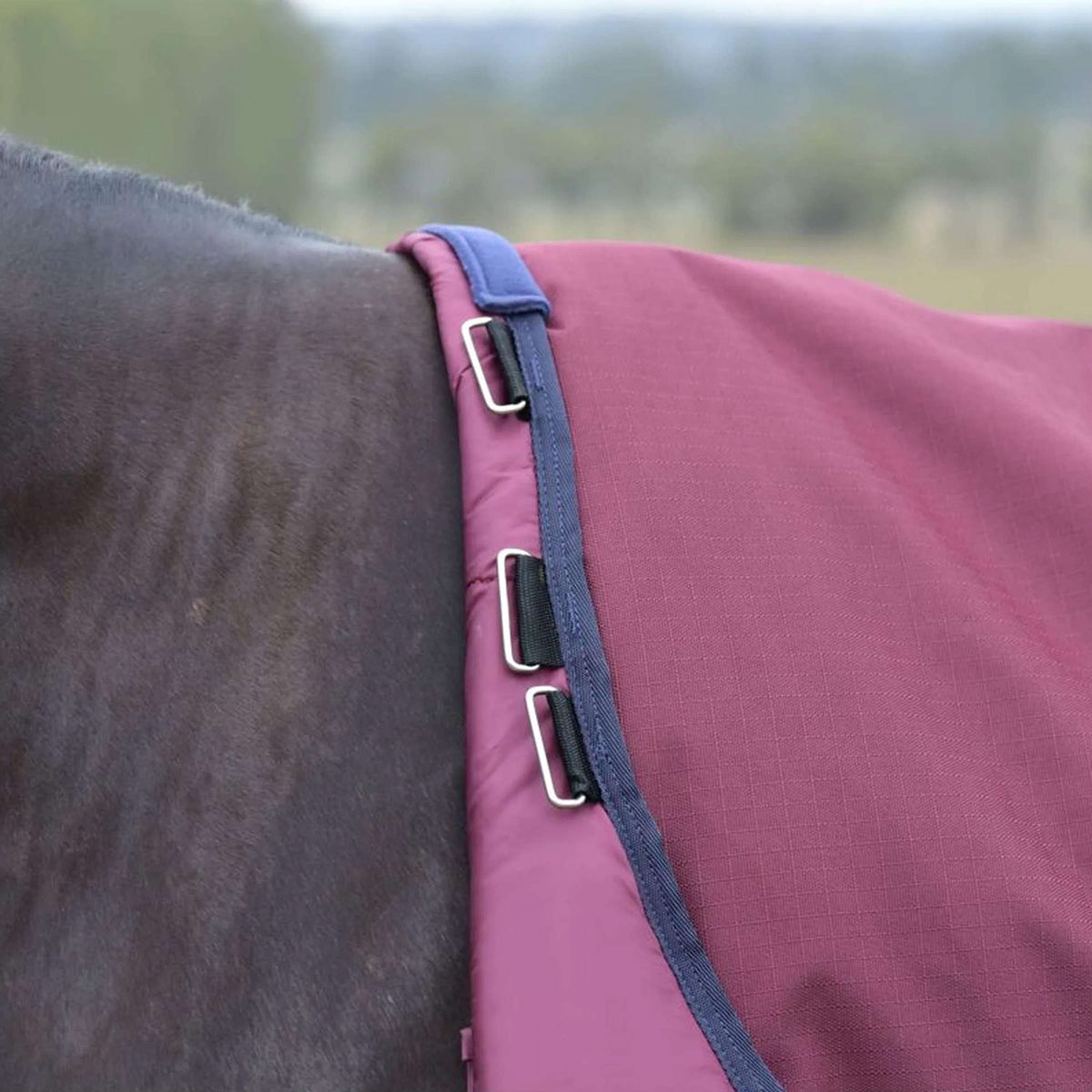 WeatherBeeta ComFiTec Essential Turnout 50g Burgundy/Navy