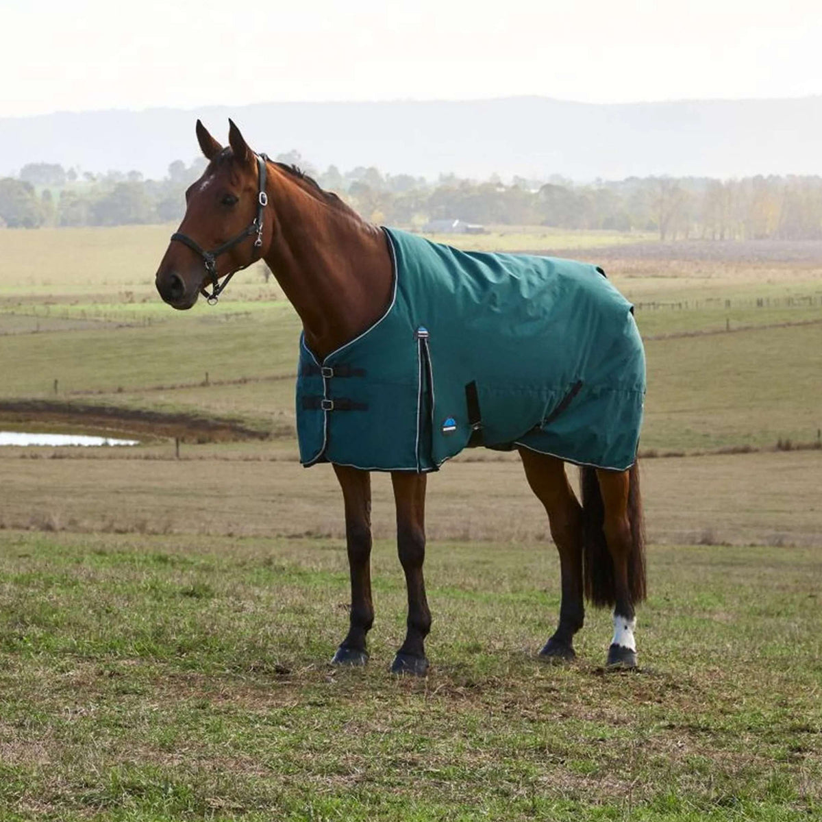 WeatherBeeta ComFiTec Classic Turnout 220g Forest Green/Black