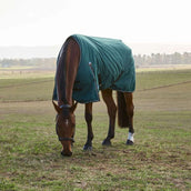 WeatherBeeta ComFiTec Classic Turnout 220g Forest Green/Black