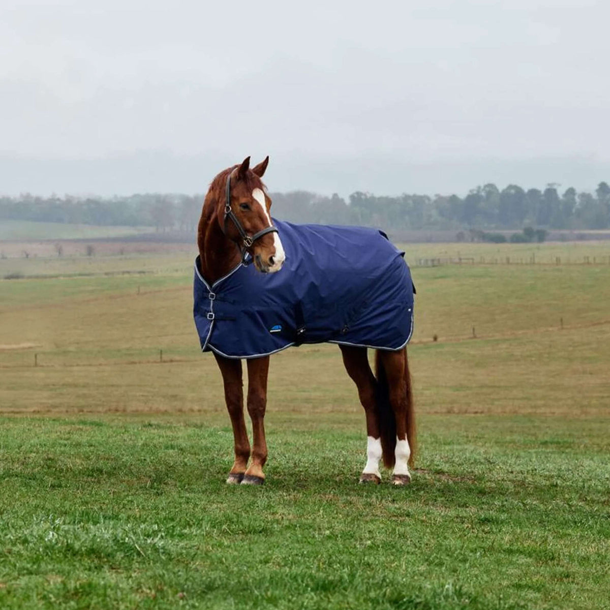 WeatherBeeta ComFiTec Tyro Turnout Standard Neck 220g Navy/Charcoal