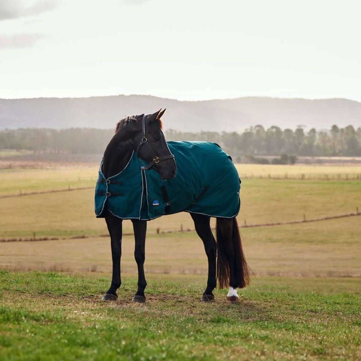 WeatherBeeta ComFiTec Classic Turnout 50g Forest Green/Black