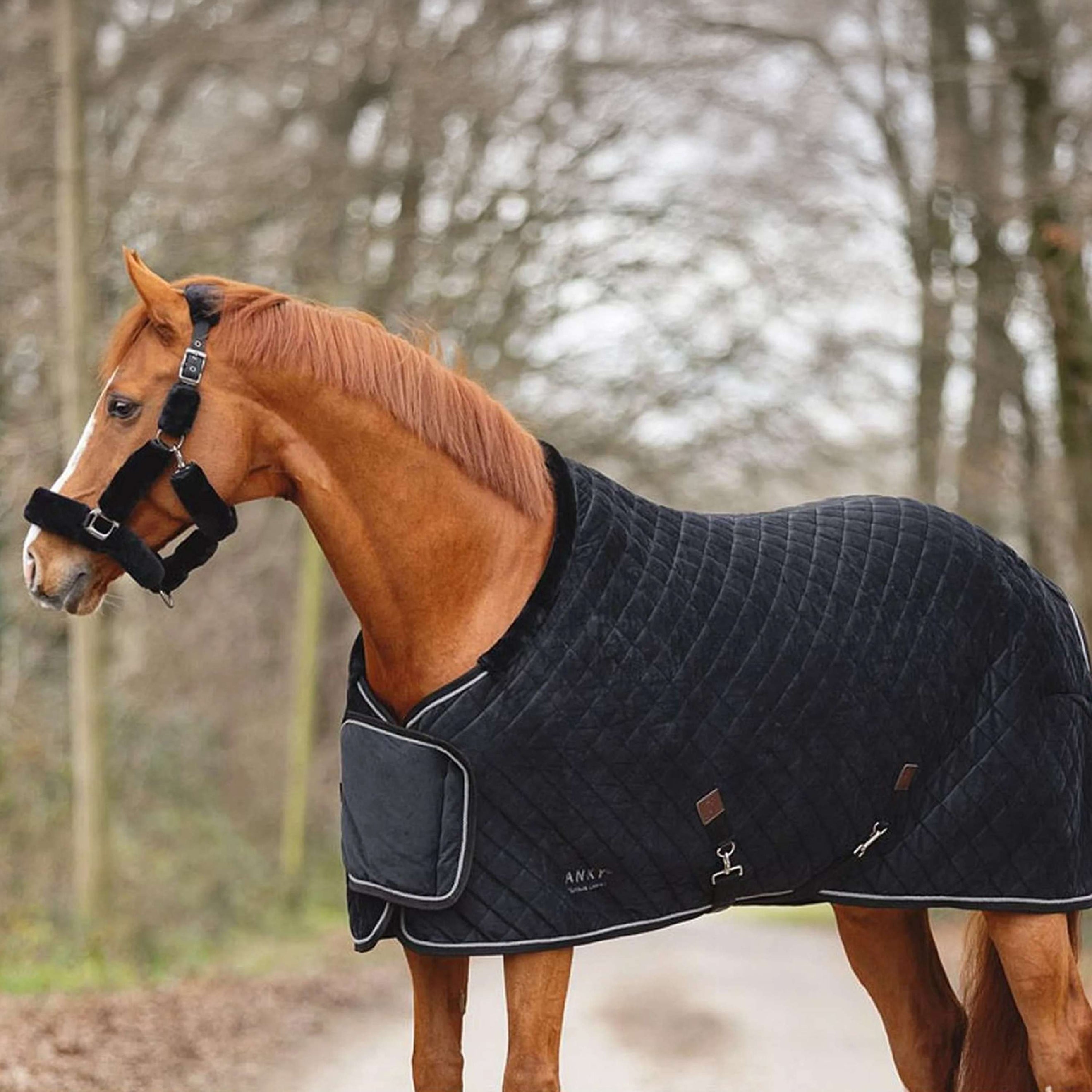 ANKY Showdeken Victory ATB24006 Zwart