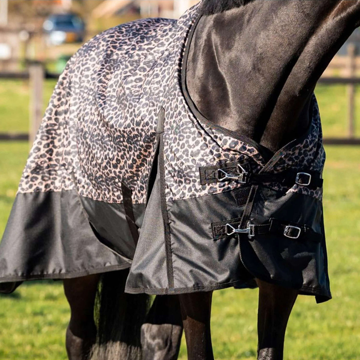 HB Outdoordeken Leopard 0g Luipaard