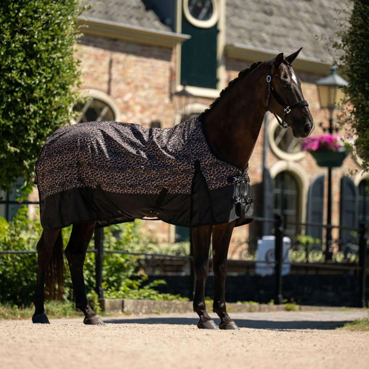 HB Outdoordeken Leopard 0g Luipaard