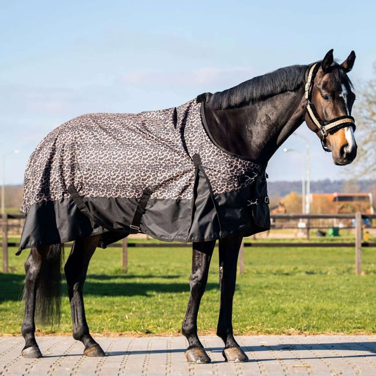 HB Outdoordeken Leopard 0g Luipaard