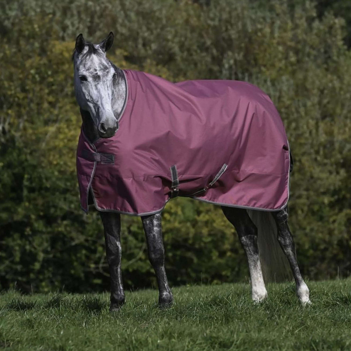 Bucas Freedom Turnout 300g Raspberry