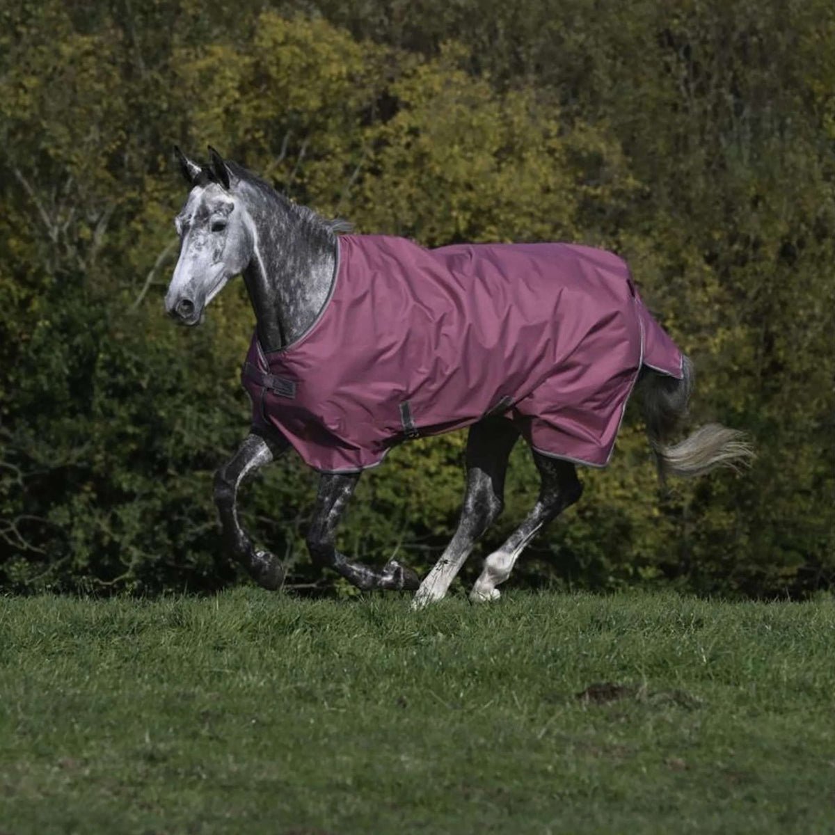 Bucas Freedom Turnout 300g Raspberry