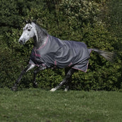 Bucas Freedom Turnout Light 0g Smoke Grey