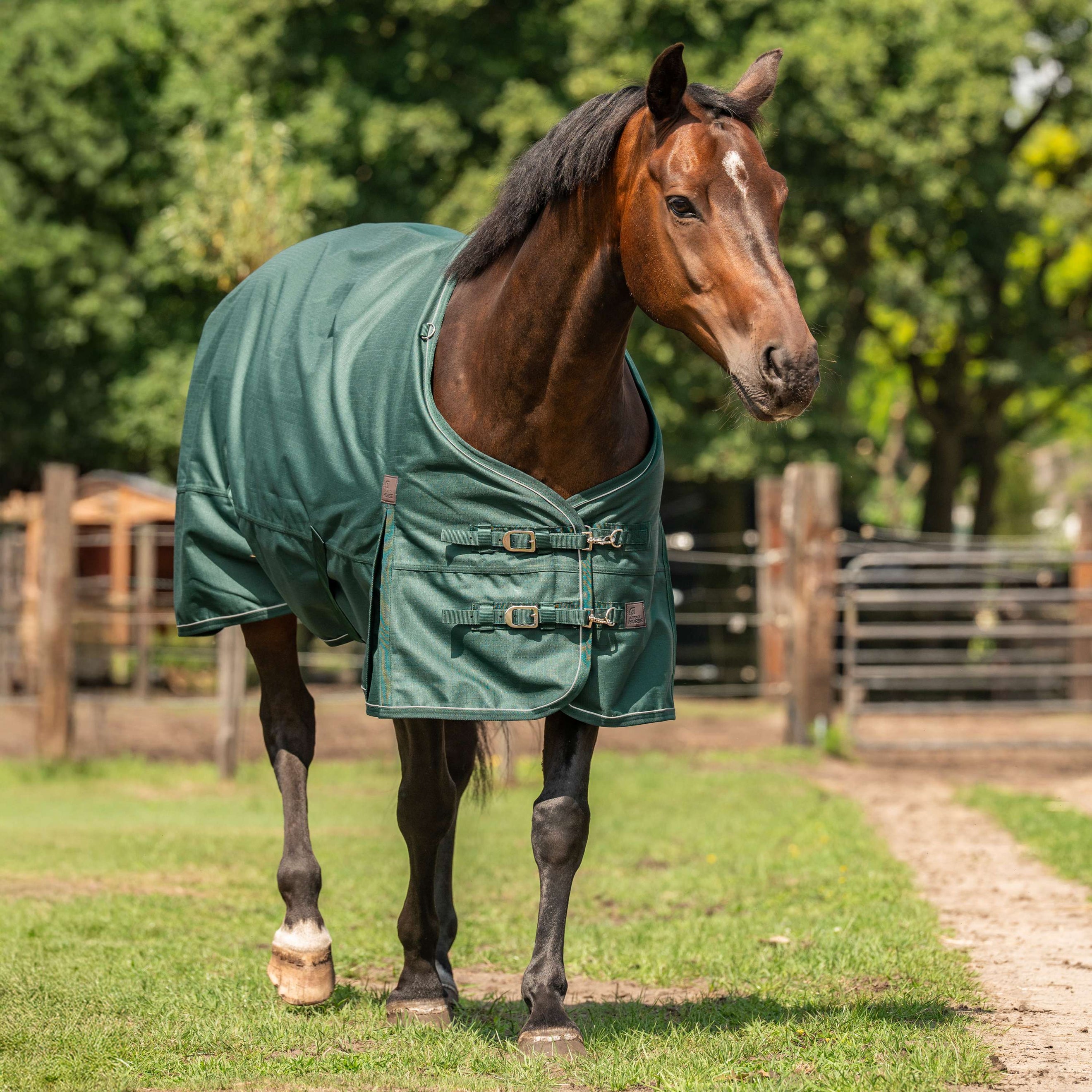 Agradi Horse Outdoordeken 1200D 300gr Reflecterende Bies Groen Agradi Horse Outdoordeken 1200D 300gr Reflecterende Bies Groen