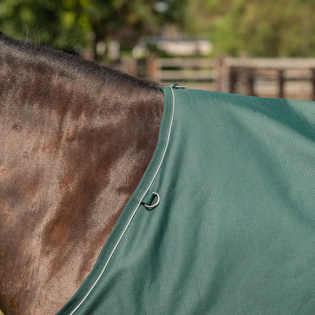 Agradi Horse Outdoordeken 1200D 50gr Reflecterende Bies Groen