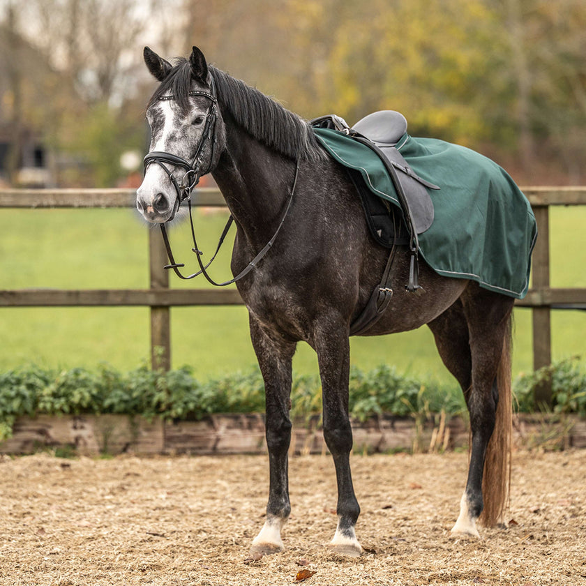 Agradi Horse Uitrijdeken 1200D Reflecterende Bies Groen Agradi Horse Uitrijdeken 1200D Reflecterende Bies Groen