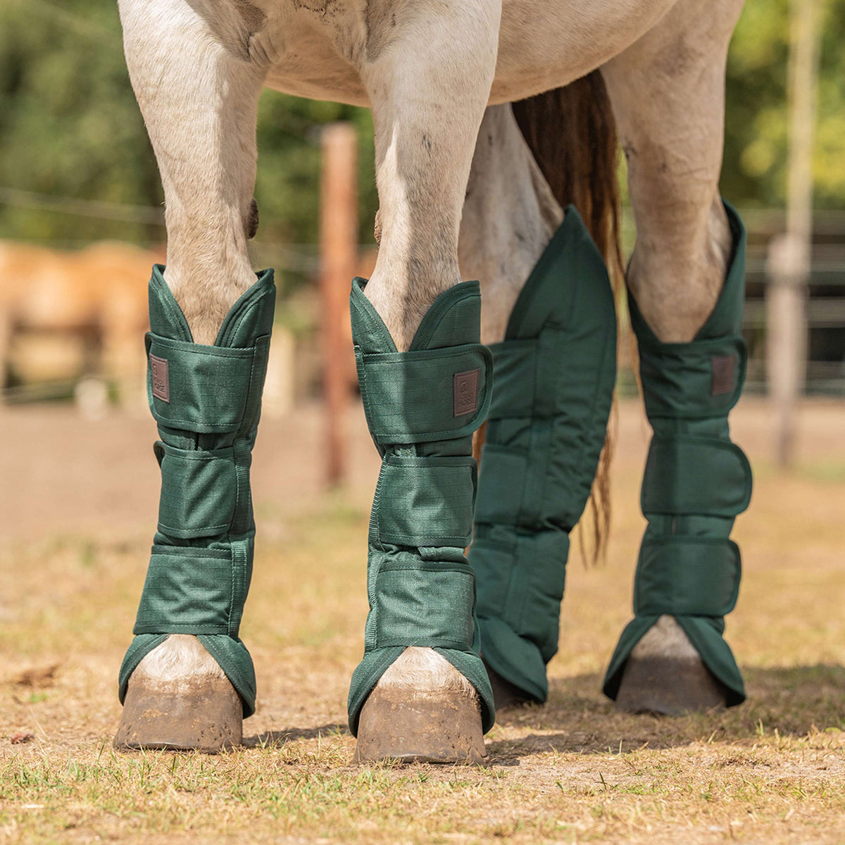 Agradi Horse Transportbeschermers 1200D Groen