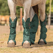 Agradi Horse Transportbeschermers 1200D Groen