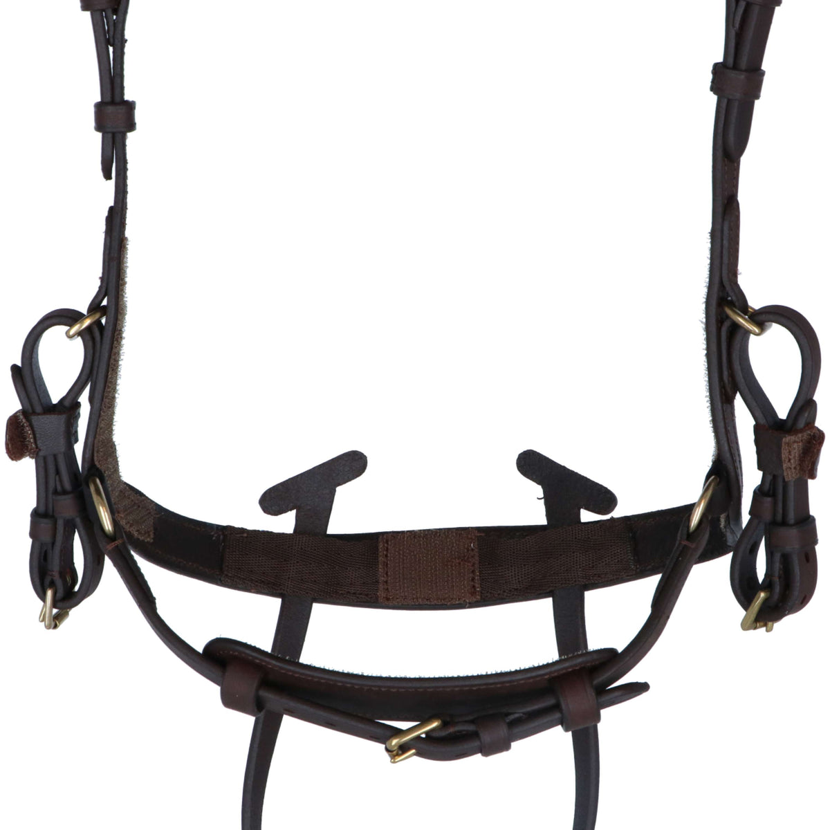 Kavalkade Hoofdstel Caliano Via Bruin/Brass