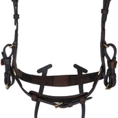 Kavalkade Hoofdstel Caliano Via Bruin/Brass