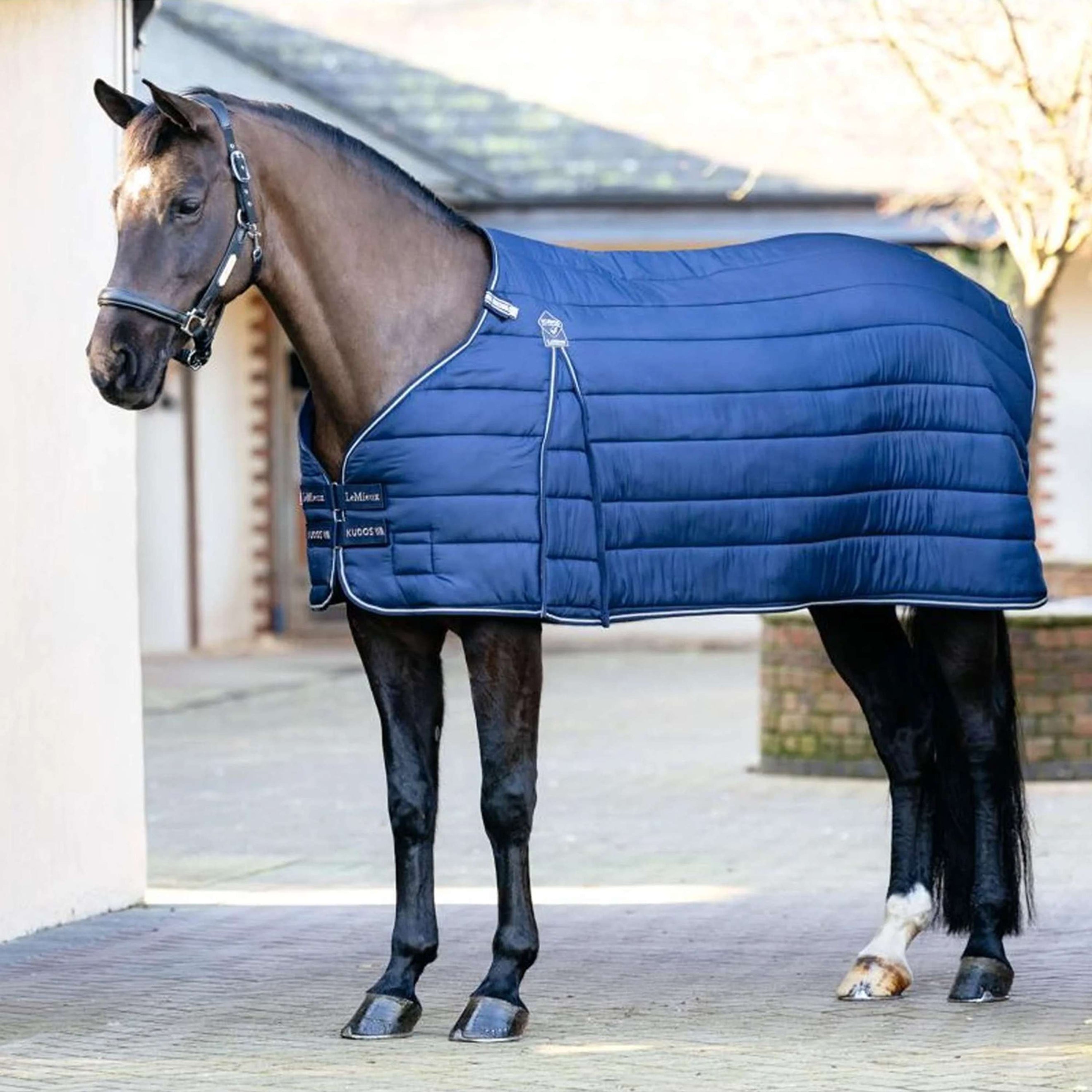 LeMieux Liner Kudos 100g Navy LeMieux Liner Kudos 100g Navy