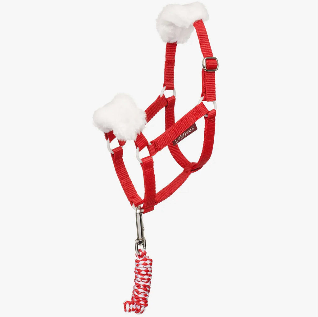LeMieux Hobby Horse Christmas Headcollar & Leadrope Rood