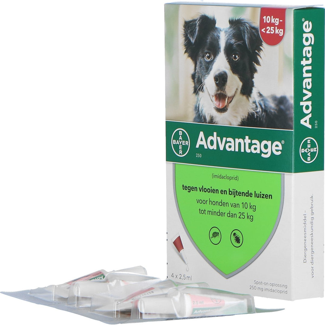 Advantage 250 Spot-On Hond 10-25kg