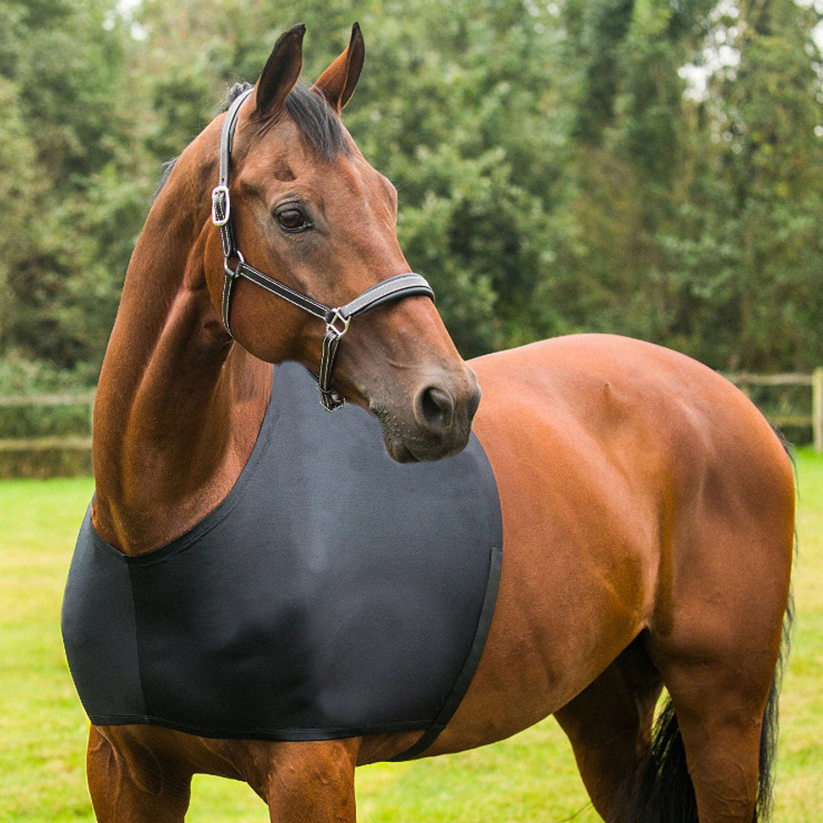 HORKA Schouderbeschermer Zwart