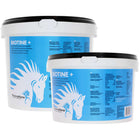 PharmaHorse Biotine Plus