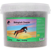 Vanilia Ijslands Zeewier