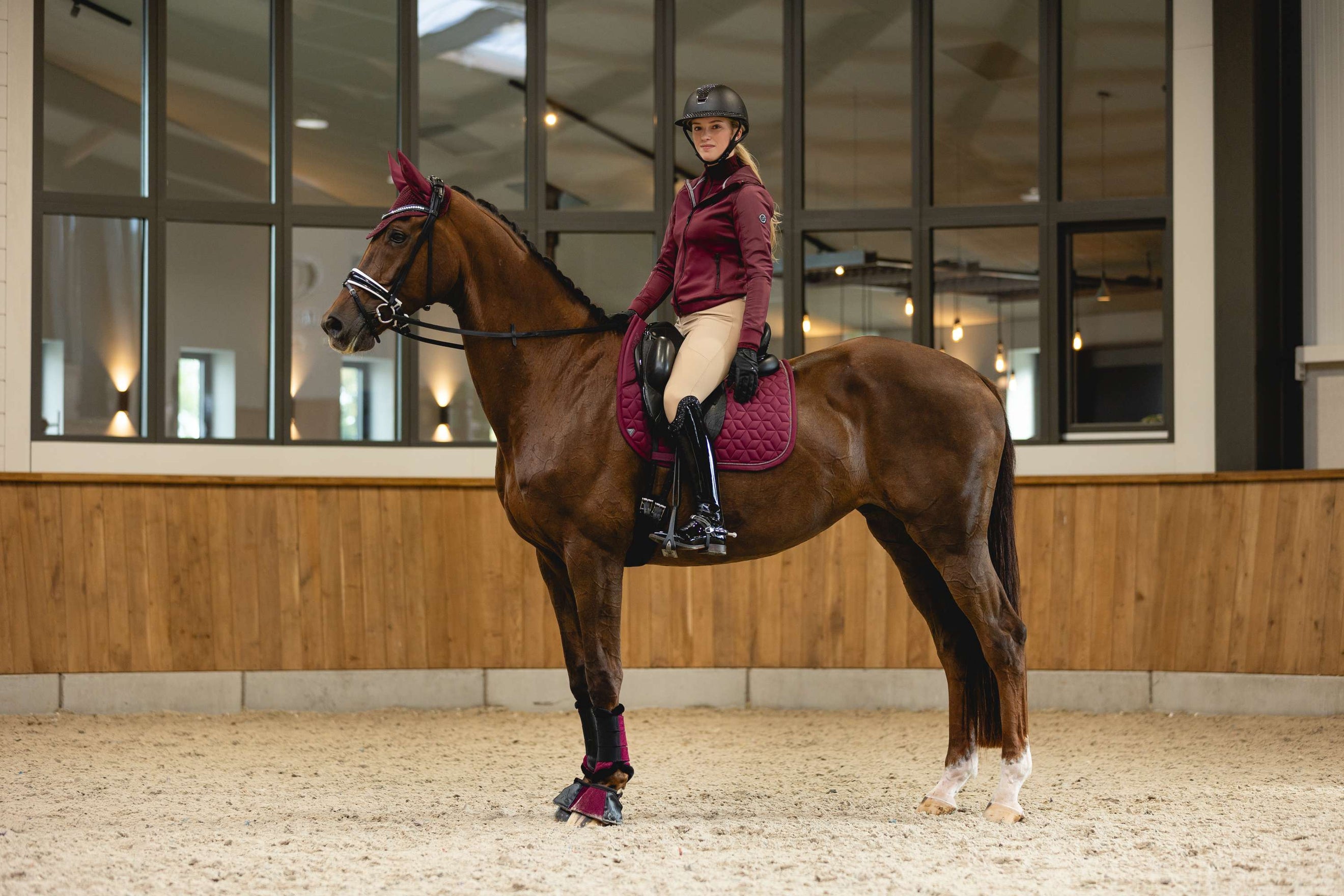 ANKY Winter 25/26 Windsor Wine