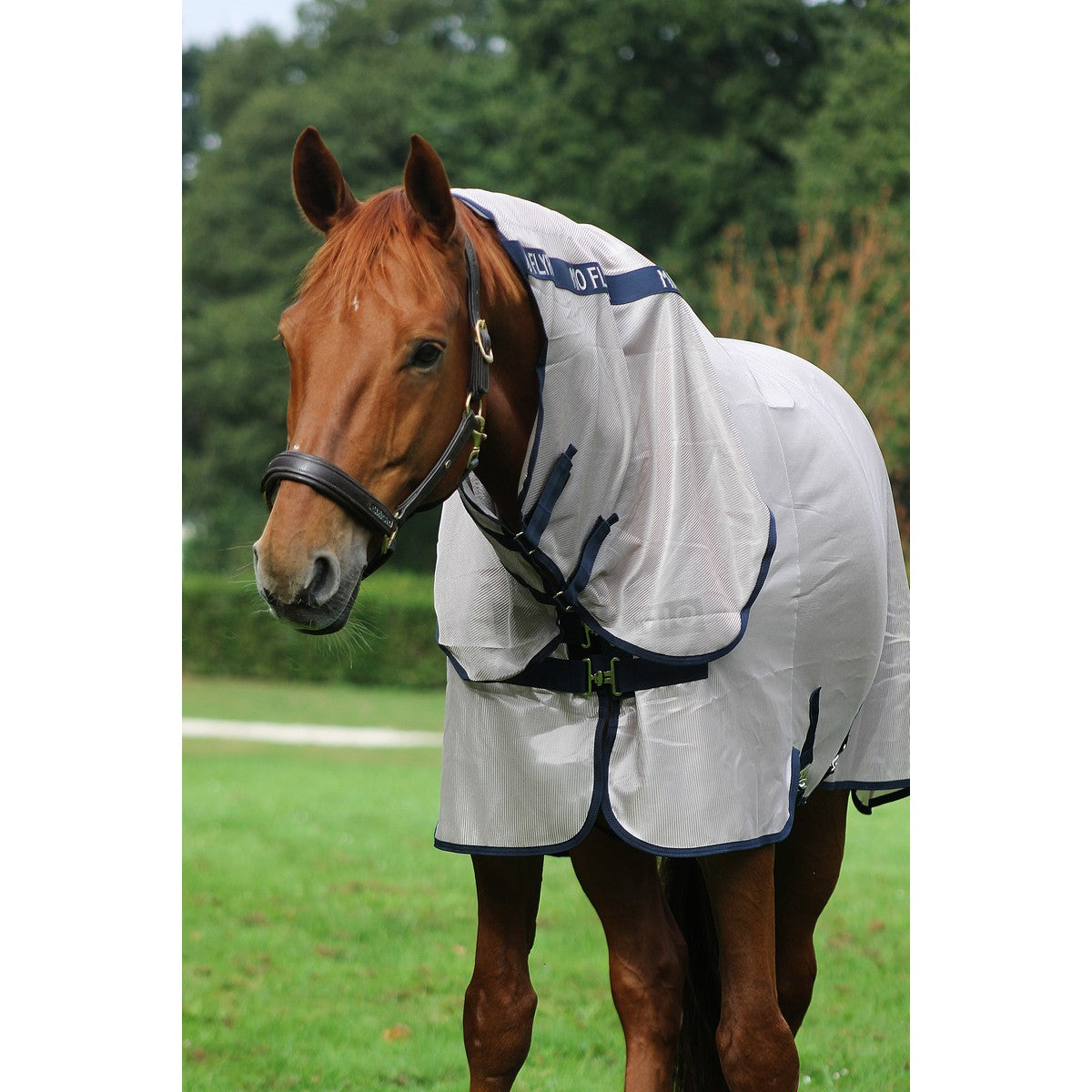 Mio Fly Rug Bronze/Navy