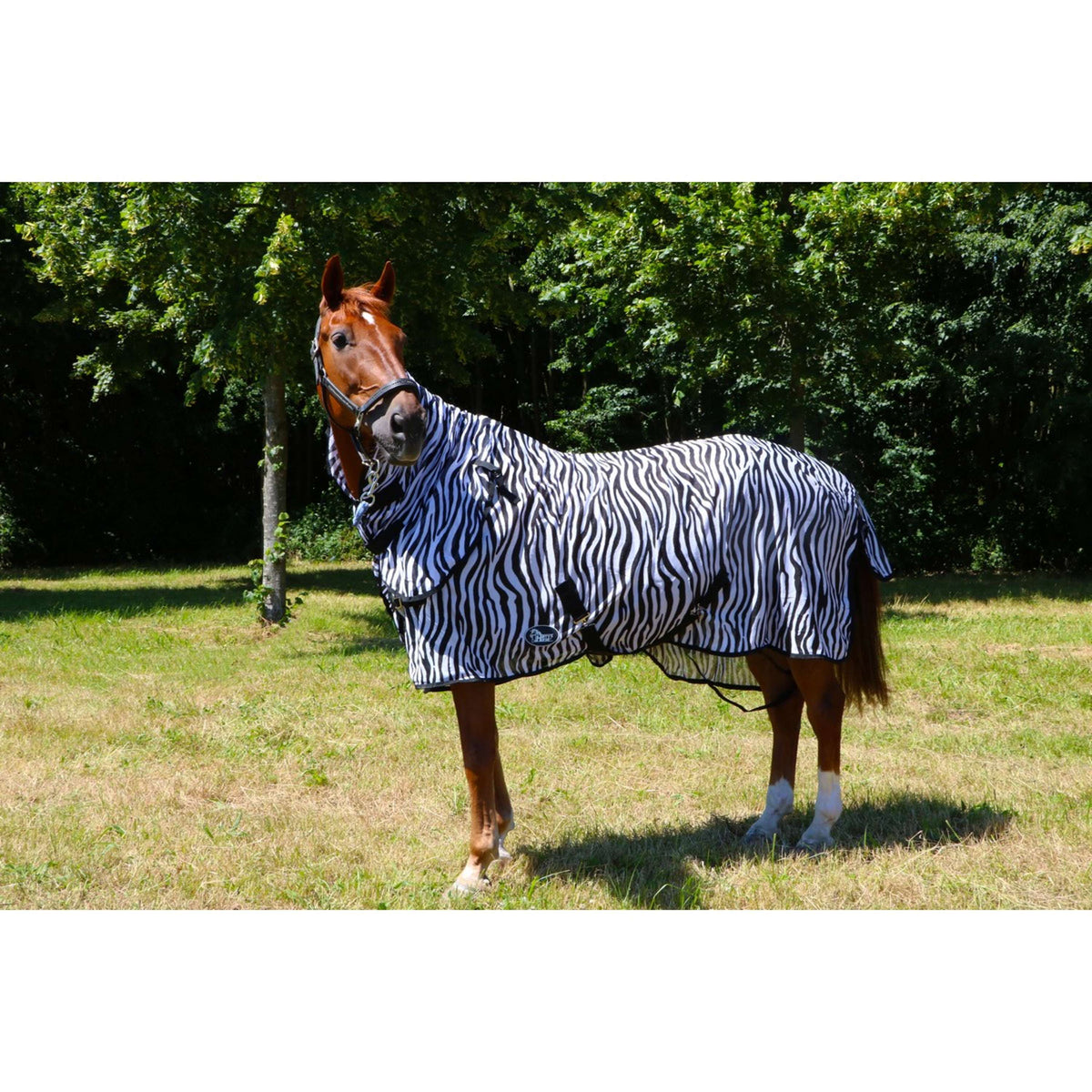 Harry's Horse Vliegendeken Zwart Losse Hals Zebra