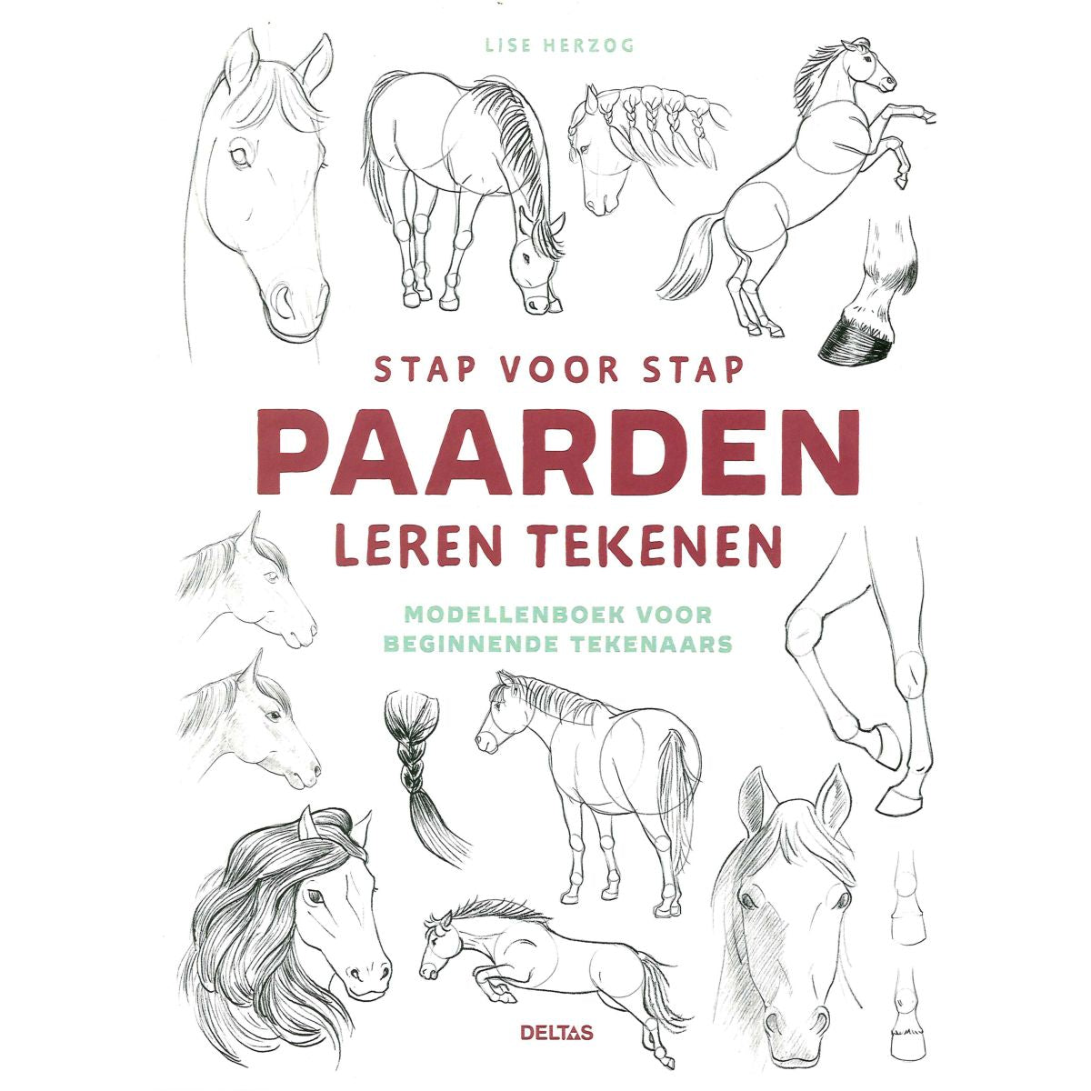 Stap voor Stap Paarden Leren Tekenen