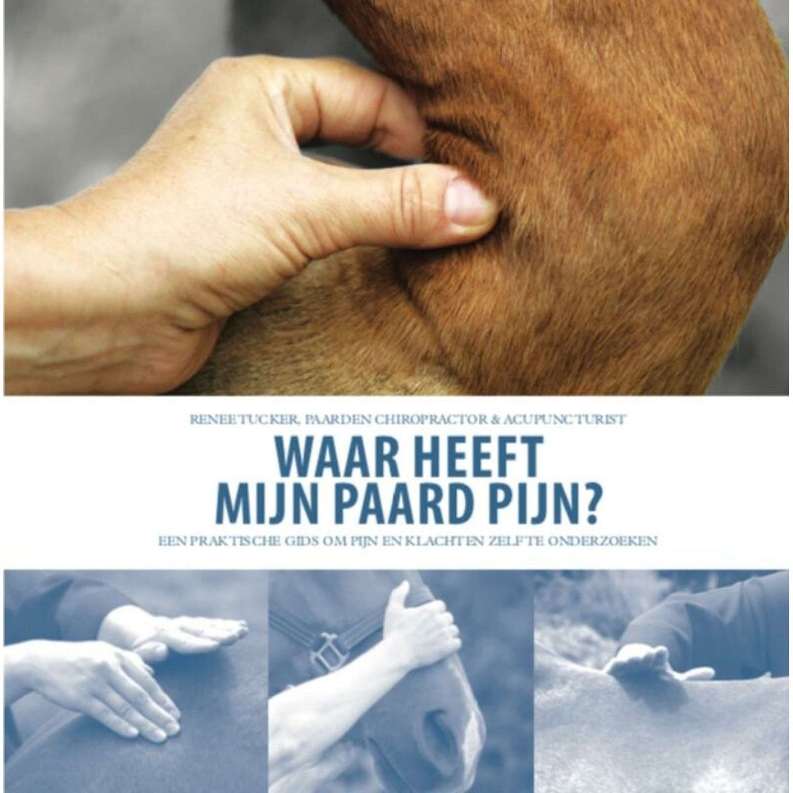 Waar Heeft Mijn Paard Pijn Waar Heeft Mijn Paard Pijn