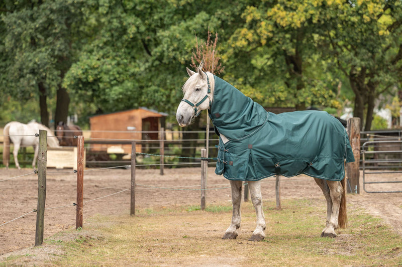 Agradi Horse Deken Set