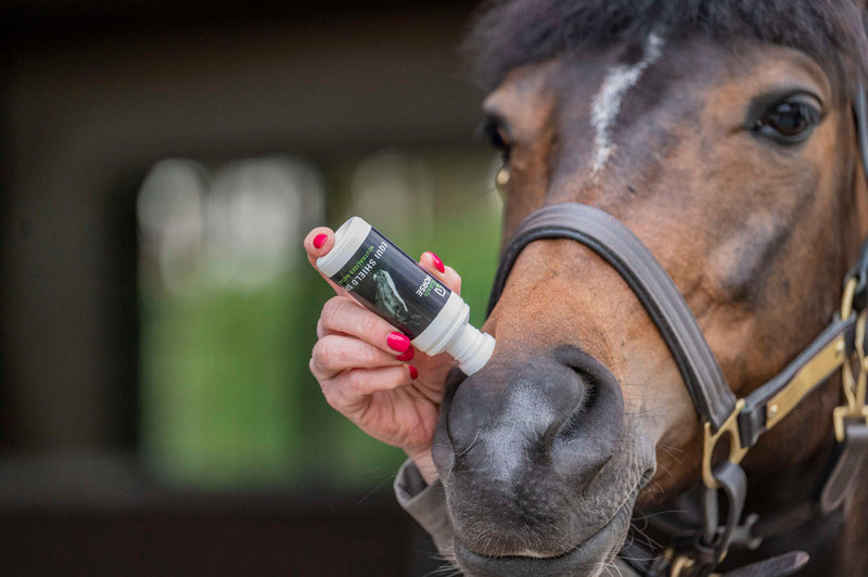 Agradi Horse Geur + Spons
