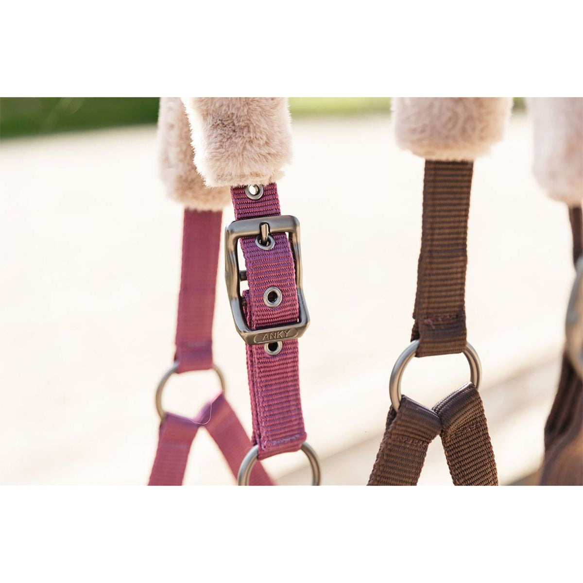 ANKY Halsterset Check Velvet ATH25002 Mellow Mauve