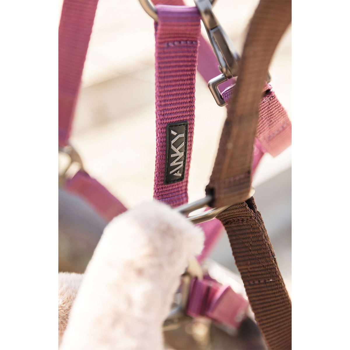 ANKY Halsterset Check Velvet ATH25002 Mellow Mauve